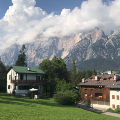 tetobucchi's profile picture. 