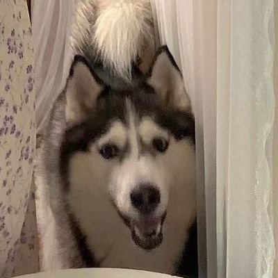 labion_jiang's profile picture. Waseda/Tongji Uni.
Architect/Photographer/ @Japan

PCG/Rendering/GraphicDesign

 Houdini/Blender/Rhino-Gh/Maya/Substance/UE

C++/C#/Python