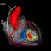 MUSC Electrophysiology (@MUSC_EP) Twitter profile photo