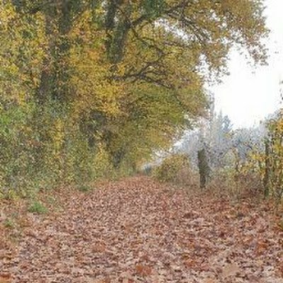 denis46642225's profile picture. 