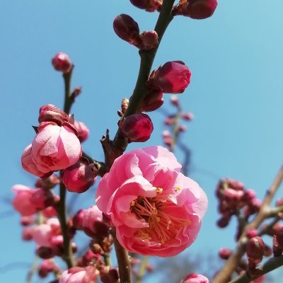 Barbarism is his physique, civilization his spirit.(互fo)