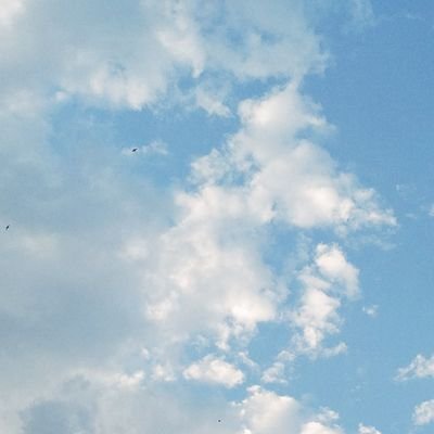 quartztztz's profile picture. a