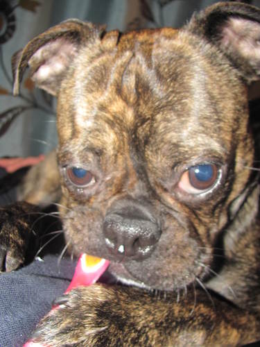 AMcGilligan Profile Picture