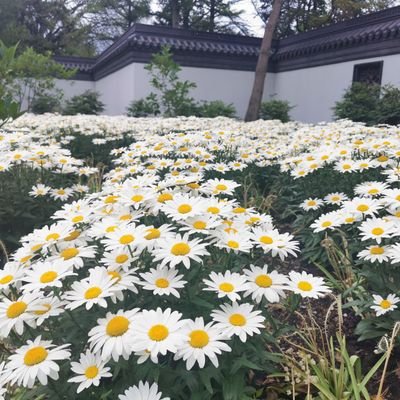 Sukimiiiiissu's profile picture. Love myself