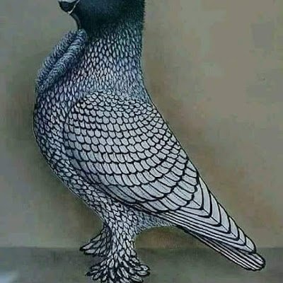 BrylN4E40x68sem's profile picture. غوي قصاص