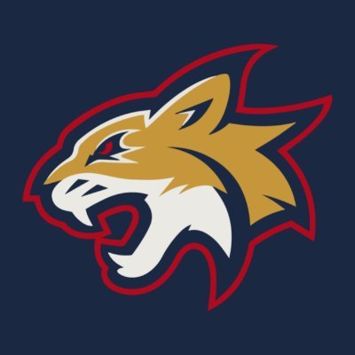 UArizonaGaming Profile Picture