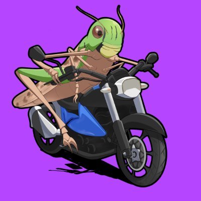 ばった@20年後に世界中を二輪車で巡る男 (@grassho06840697) / X