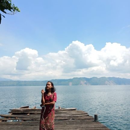 bonamanurungg's profile picture. Development Economic
Sriwijaya University