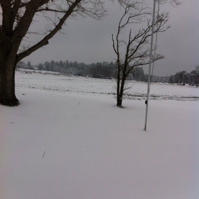 cam8083's profile picture. No Games