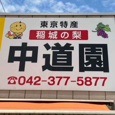 東京特産「稲城の梨」直売&全国発送 8月から10月まで色々な品種の梨の販売をしております。 お客さまのニーズに応えた販売を心がけております♪ SNSでのご質問にはお応えしておりませんので直接お電話でお問い合わせください。