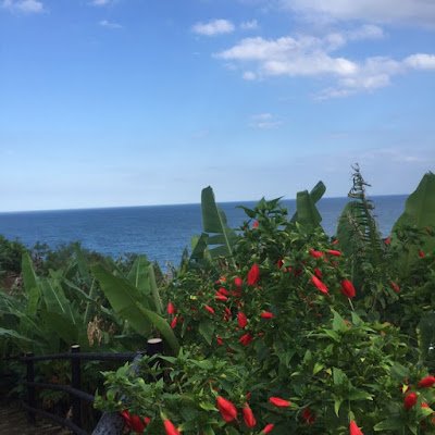 TOKI61124582's profile picture. 