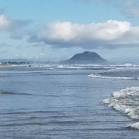 eilish simpson (@eilishsimps) 's Twitter Profile Photo