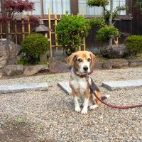 ワシントンです🎶 (@6yhvesnhsh1jbu5) 's Twitter Profile