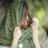 kaur_sidhu_'s profile image