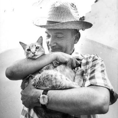 CamaleonAnonimo's profile picture. "Muchos libros por leer, muchas películas por ver, muchos lugares por conocer y poca vida para hacerlo"