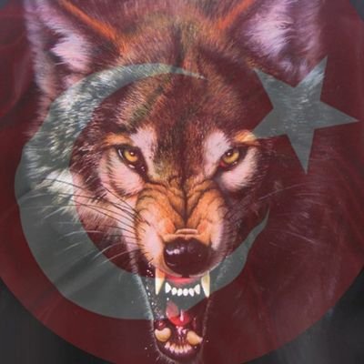 ZenginogluLatif's profile picture. 🇹🇷🇹🇷🇹🇷🇹🇷🇹🇷🇹🇷