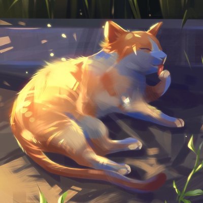 claeys_stan's profile picture. 