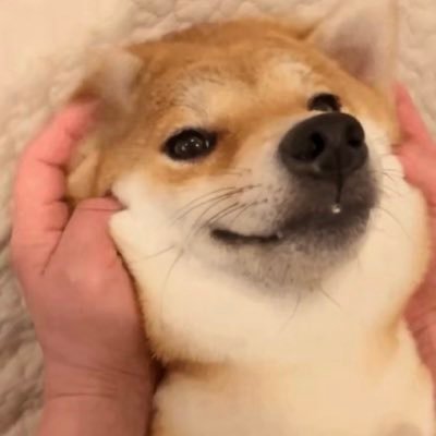 adlab777's profile picture. 