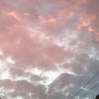ちちちーず (@tatatata_goto95) 's Twitter Profile
