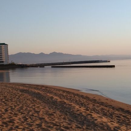 PharmLit's profile picture. MWには戻れないかも
CRO→内資製薬会社→外資製薬会社でPM、薬事、開発企画ぽいこと。MPH, PMP