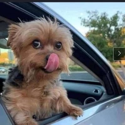 Simpaas's profile picture. I tell it, like it is..... It is what it is.