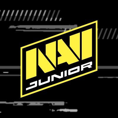 @natusvincere CS2 & Dota 2 Juniors