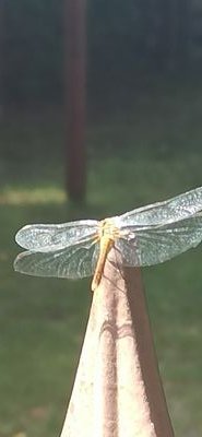 Piotr18966870's profile picture. 