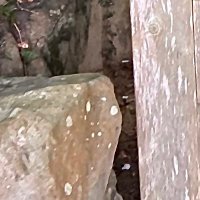 いさりだ (@47_isarida) 's Twitter Profile