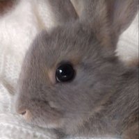 ゆかり子 (@yuka_riko03) 's Twitter Profile