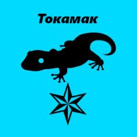とかもふ(@tokamakairforce) 's Twitter Profile Photo