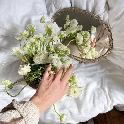 illxe21's profile picture. 