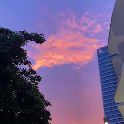 fishmeatdie's profile picture. the most powerful thing you can do is become the image of your own imagination