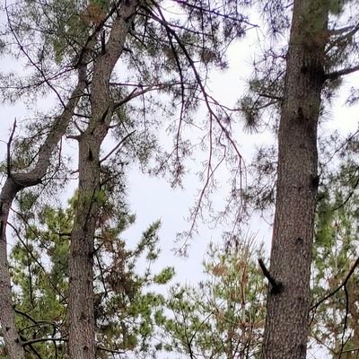 tankahetappy's profile picture. 2021.7~探り探り、短歌を始めました。
2021.12〜休止
2024.10　再開

先輩方に学ばせていただきます✨
うたの日→
https://t.co/0EdVb00eMV