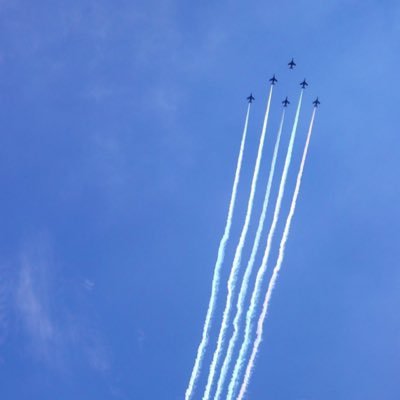 APshioP's profile picture. 伊達と酔狂と遊びで写真やってます https://t.co/k6V2ihmPBC