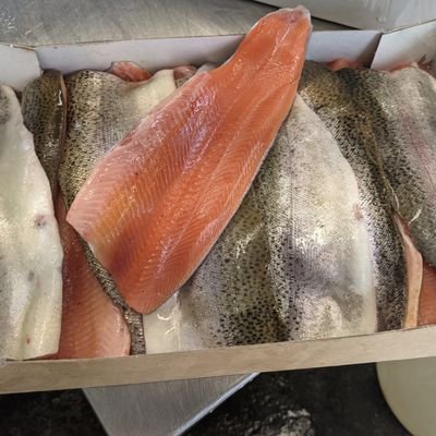Supplying fresh rainbow trout fillets and gutted trout in and around Edinburgh & East Lothian and further a field. Other products on request 
@mac82tear