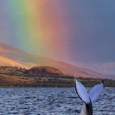 ForgottenDream9's profile picture. A person there to help