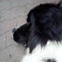 Paula Justus - @Paula_wp6 - Twitter