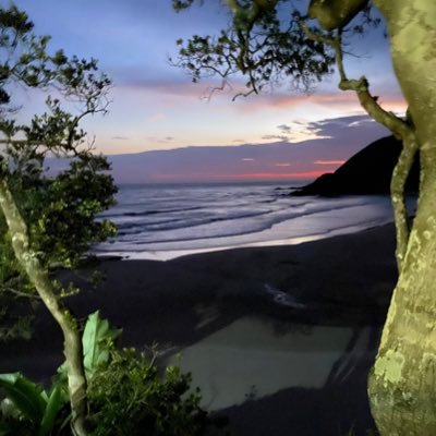 bushmanZA's profile picture. Proud Saffa, husband and dad! Sports fanatic, but rugby 1st! 🌈