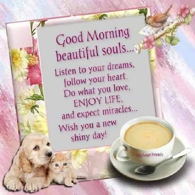 mallybeanally's profile picture. its not havin everything going rite, its facing whatever goes wrong, its not without fear. its having the determination to go on in spite of it.