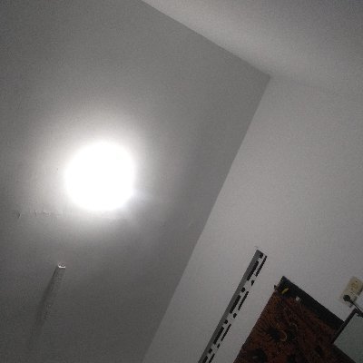 better_cookiez's profile picture. 