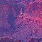 1804811's profile picture. 