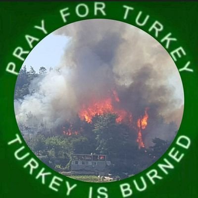 I'm trying to help here in this difficult time that Turkey is going through, I'm trying to make my voice heard #SAVETURKEY #TURKEYISBURNİG