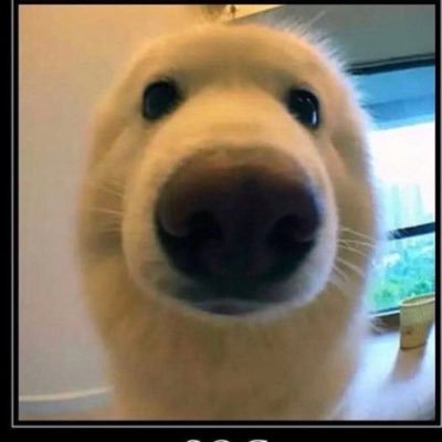 kitty512xd's profile picture. Ye