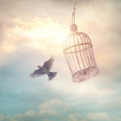 #jwpimo #whistleblower The secret of happiness is freedom, the secret of freedom is courage