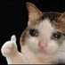 Bhullaldev (@bhullaldev) Twitter profile photo Bhullaldev (@bhullaldev) Twitter profile photo