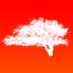 Ash // Treeblog ๐ณ๐ (@treeblog) Twitter profile photo Ash // Treeblog ๐ณ๐ (@treeblog) Twitter profile photo