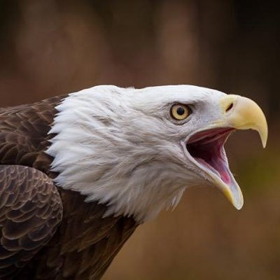 Tadawul30's profile picture. مضارب | مستثمر في سوق الأسهم السعودي والأمريكي ، مهتم بالتحليل المالي والفني. "المسار صديقي حتى يغير الإتجاه"