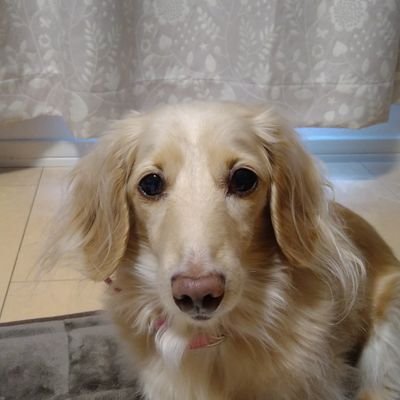 7uhJ76SrBCHuLyi's profile picture. よろしく