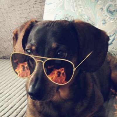 SuccaneersFan's profile picture. Dad / Coach