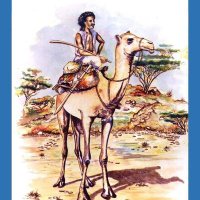 محمد (@alhfeez59) Twitter profile photo